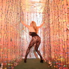 Kelly Madison in 'Lust, Lights, Camera'