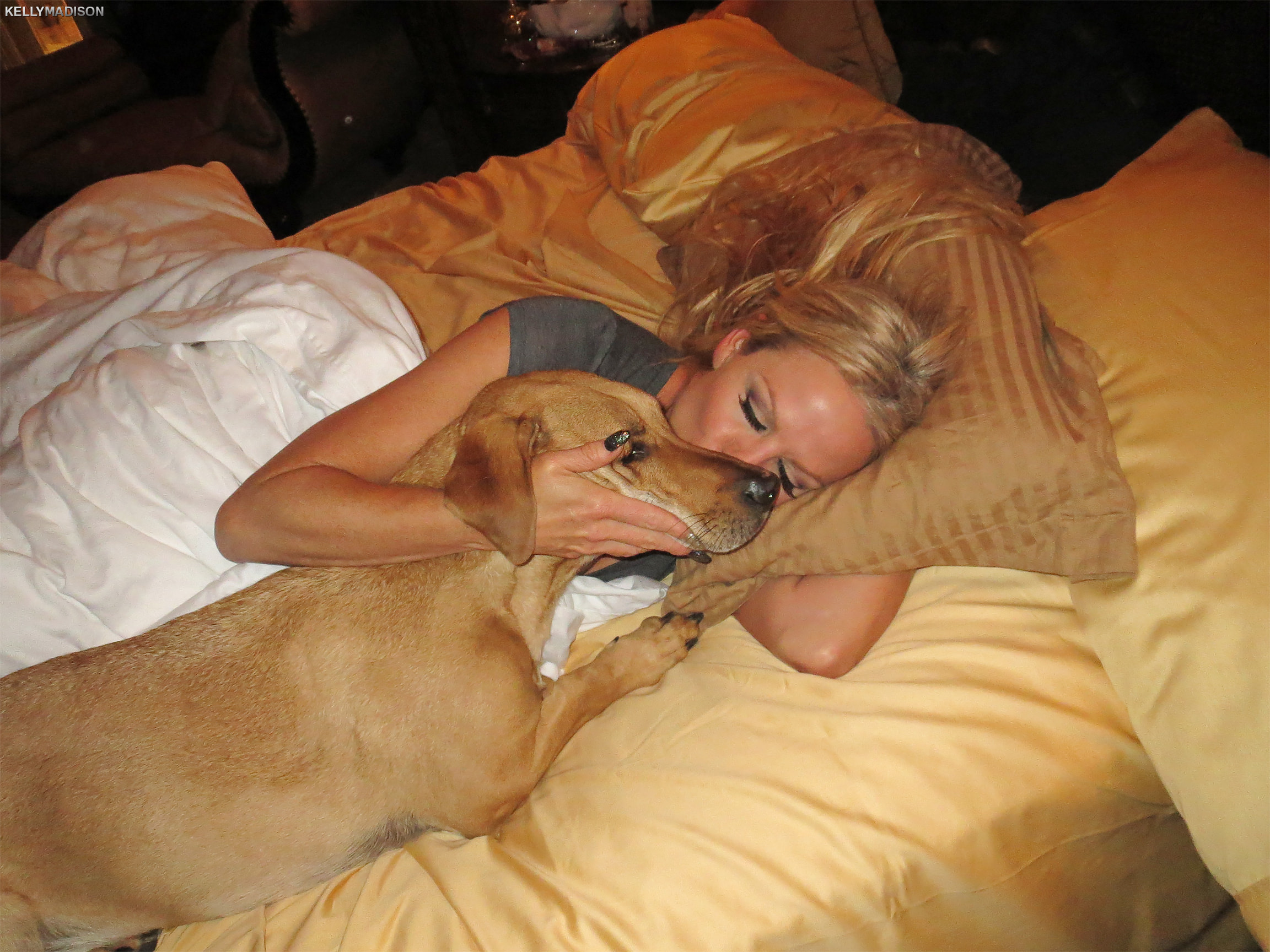 Real Love with Brandi Love