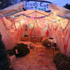 Skin Diamond in 'XXX-MASsacre'